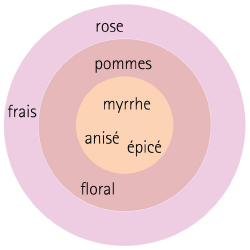 cercle parfum