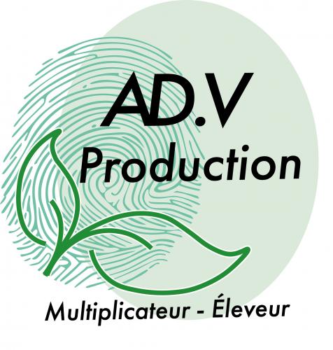 Pépinière Ad.V Production